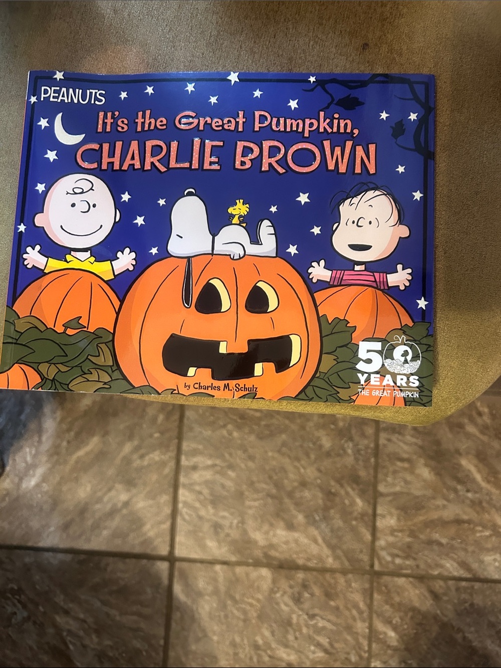 Peanuts Kids Pumpkin Patch Costume Panel - Blue & Orange